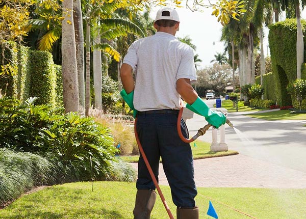 About Jensen Beach FL Pest Control